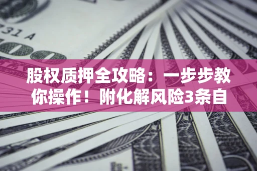 北京股权质押全攻略：一步步教你操作！附化解风险3条自救法则