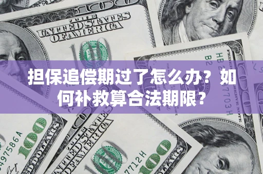 北京担保追偿期过了怎么办？如何补救算合法期限？