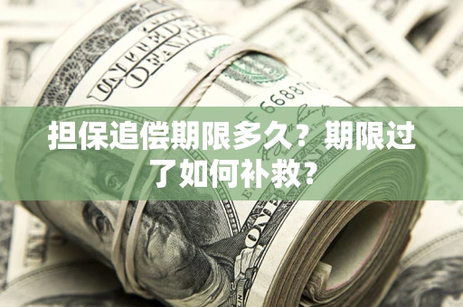 北京担保追偿期限多久？期限过了如何补救？