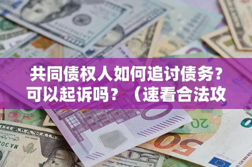 北京共同债权人如何追讨债务？可以起诉吗？（速看合法攻略）